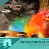 Zampalesta u cane tempesta