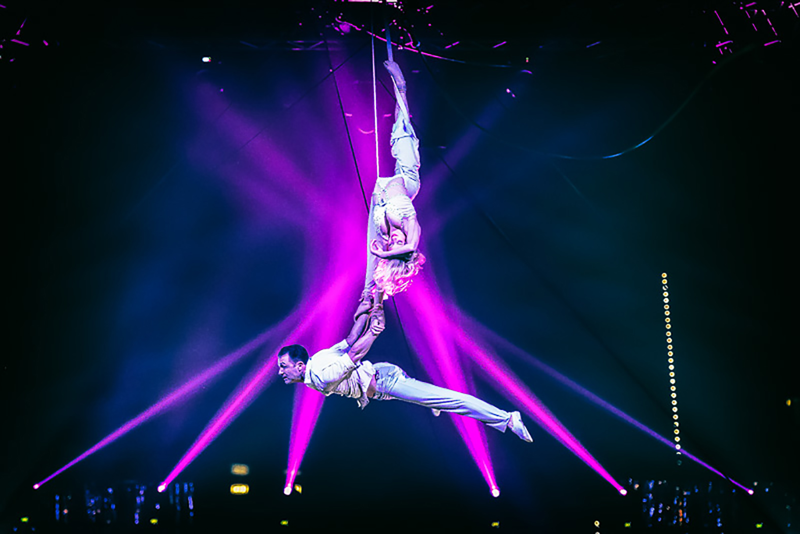 Le Cirque Top Performers Alis