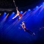 Le Cirque Top Performers Alis