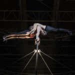 Le Cirque Top Performers Alis